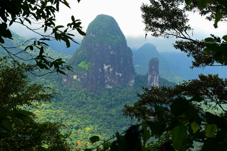 Striking view at an opening in the forest canopy on Pico Papagaio