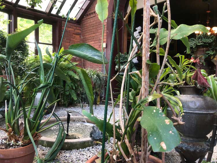 Conservatory garden at Mark Twain House