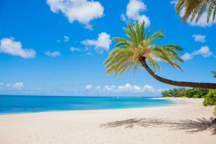 Beach in Oahu.