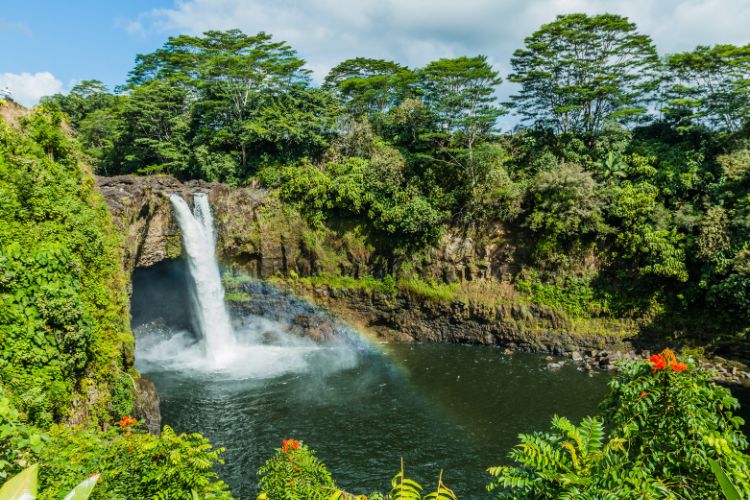 Rainbow Falls in Hilo