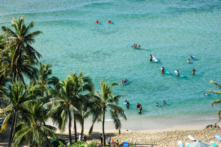 Surfers in Hawaii