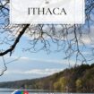Have been wanting to try something new, in New York? Check out Ithaca! See alpacas, goats and bees, taste honey and cider and have the adventure of a lifetime. #IthacaNY #IthacaBees #NewYork #FarmsinIthaca