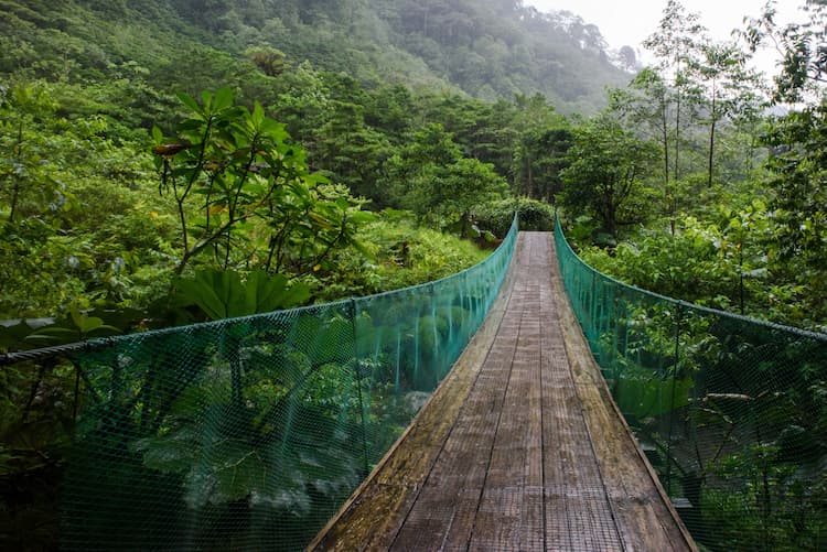 Suspension bridge in Alajuela Province, Poás, Costa Rica. Photo by Christina Victoria Craft