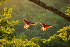 When is the Best Time to Visit Costa Rica?