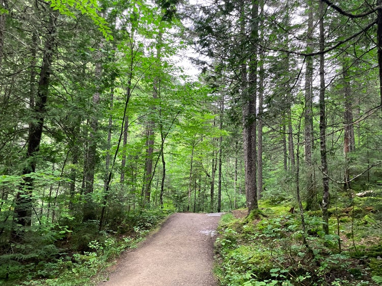 Hiking in Mont-Tremblant National Park. Photo by Janna Graber