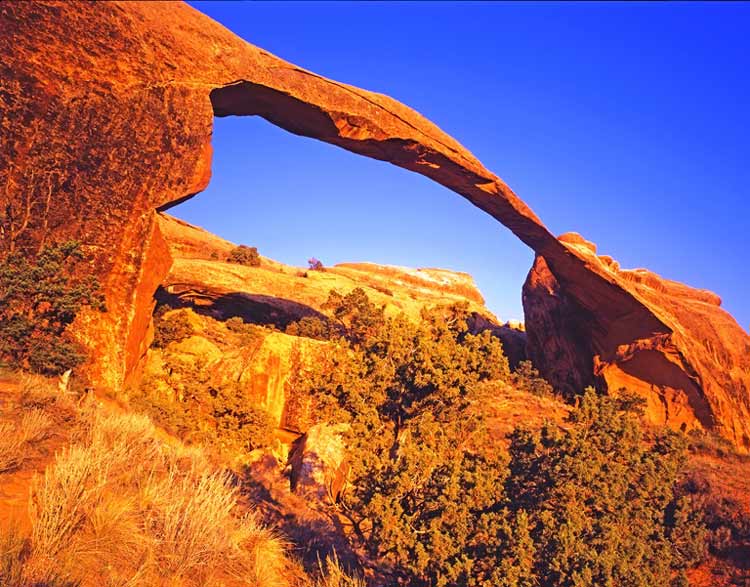 Landscape Arch in Utah’s Arches National Park is one of nature’s glorious creations. Photo by Tom Till, Dreamstime