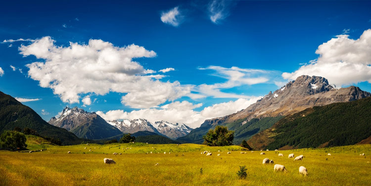 The beauty of New Zealand meets expectations. Photo by Daniela Constantinescu, Dreamstime