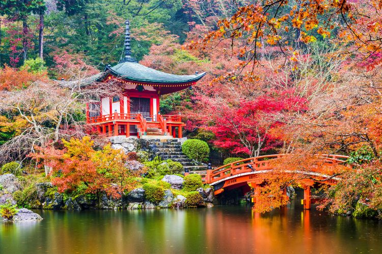 Daigoji Temple in Autumn