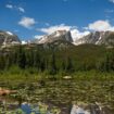 Lake Lilies in Estes. Photo courtesy of Estes Tourism Board