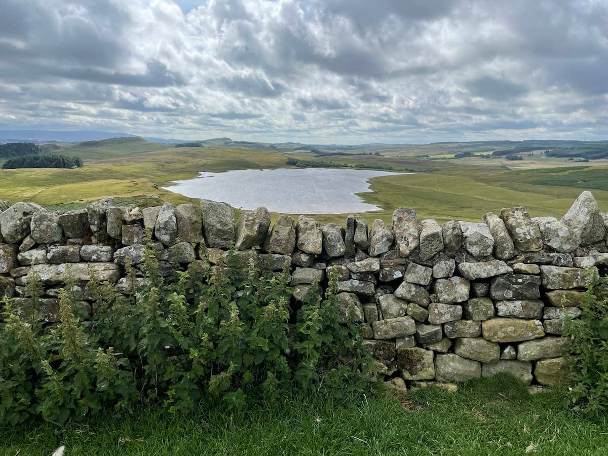 Stone wall. Photo by Debbie Stone