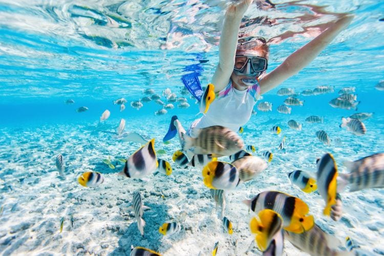 Snorkeling in the Caribbean