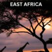 GAME DRIVES IN EAST AFRICA