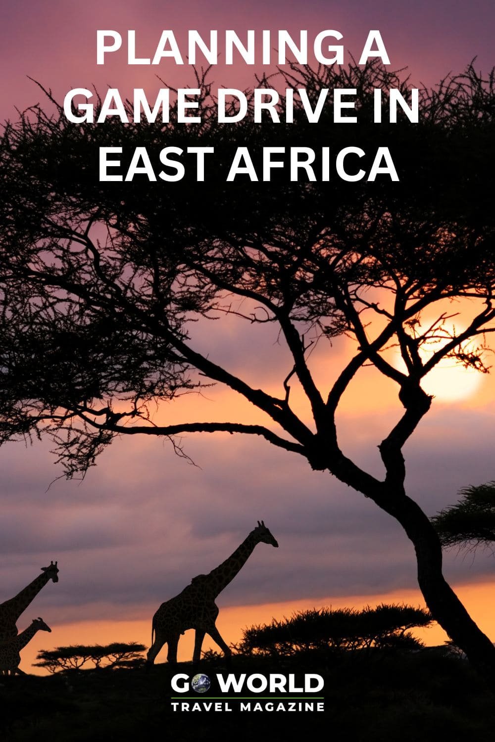 If a wildlife safari is a bucket list item for you, this ultimate guide full of tips for planning game drives in East Africa is a must read. #gamedrivesinafrica #africansafari