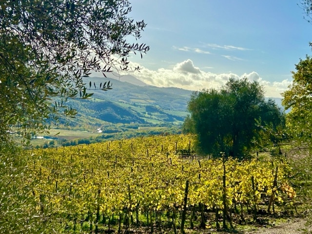 Podere Le Ripi Italy