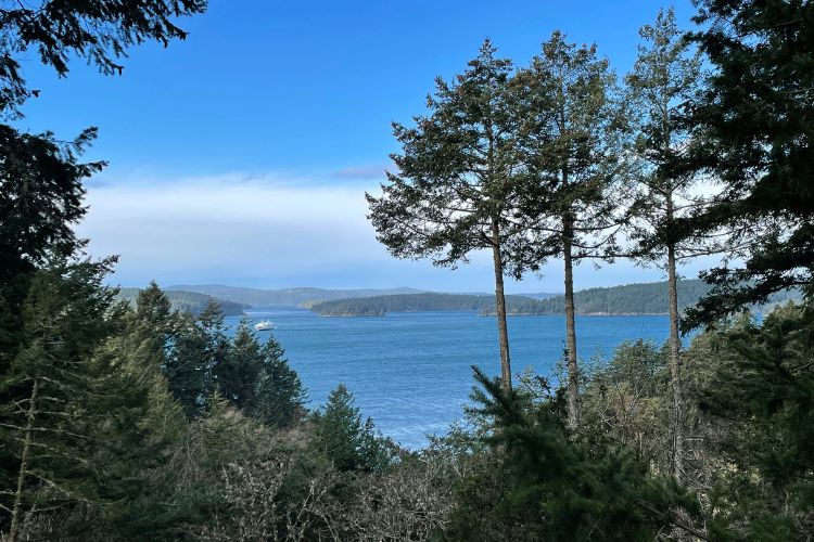 view of the salish sea from the San Juan islands