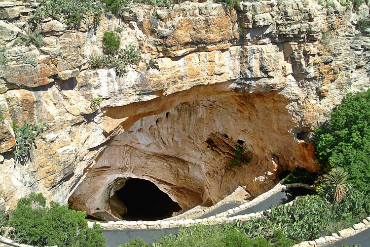 Pintu masuk alam Carlsbad Caverns