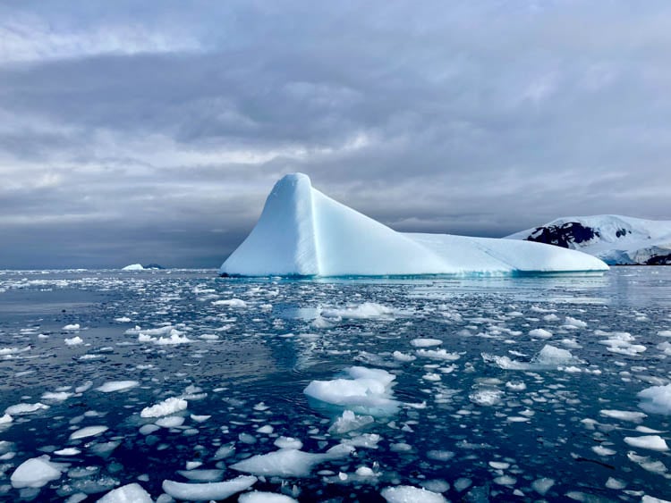 Iceberg in Cierva Cove
