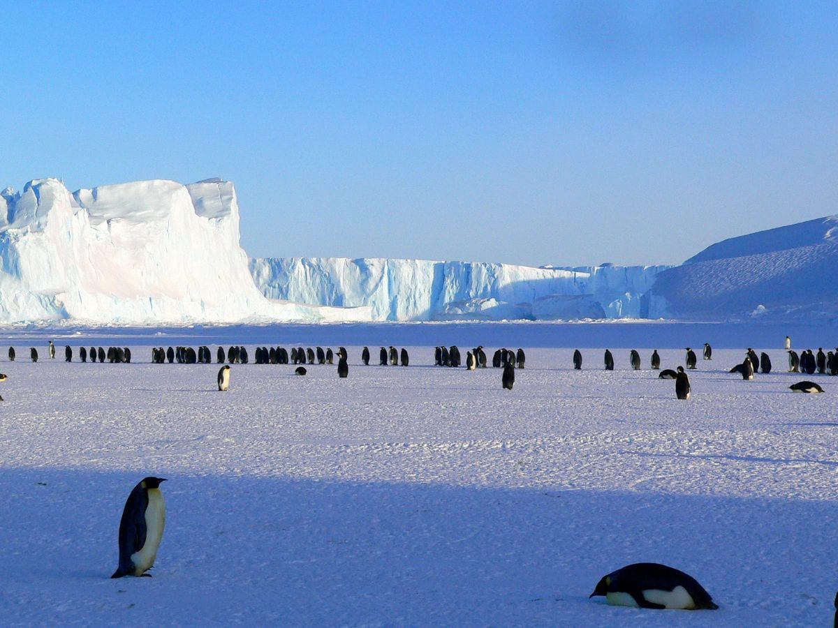 12 Tips for Your First Cruise Trip to Antarctica