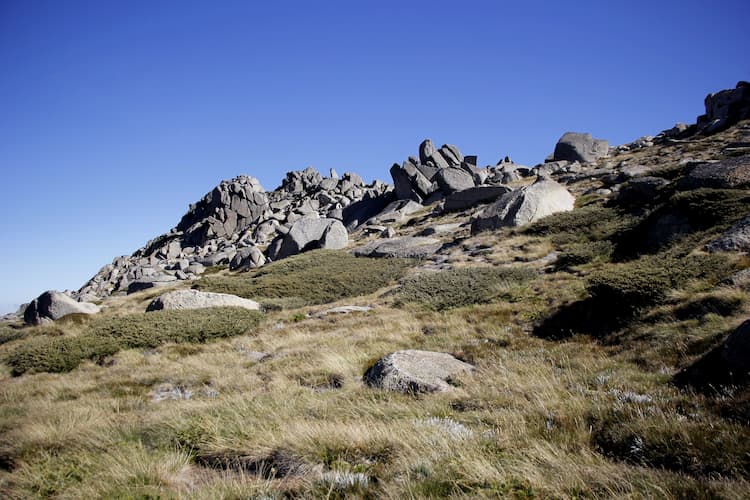 Boulders on the trail. Photo by Ayan Adak