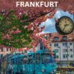 Things to do in Frankfurt