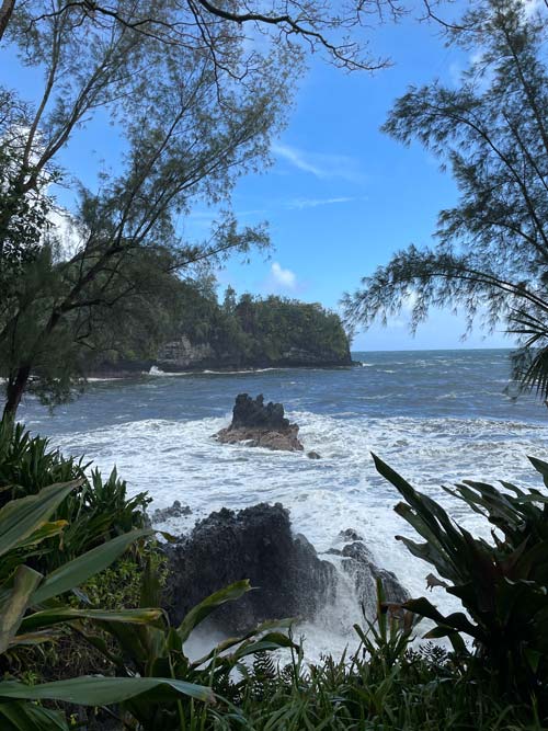 Ocean view from Hawaii Tropical Bioreserve & Garden