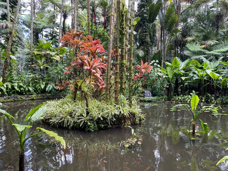 Hawaii Tropical Bioreserve & Garden
