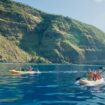 Kealakekua Bay in Kona