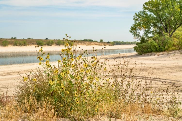 Lake McConaughy in Nebraska
