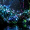 Na’vi River Journey at Pandora – The World of Avatar at Disney’s Animal Kingdom, Pinterest. Photo courtesy of Walt Disney World Resort