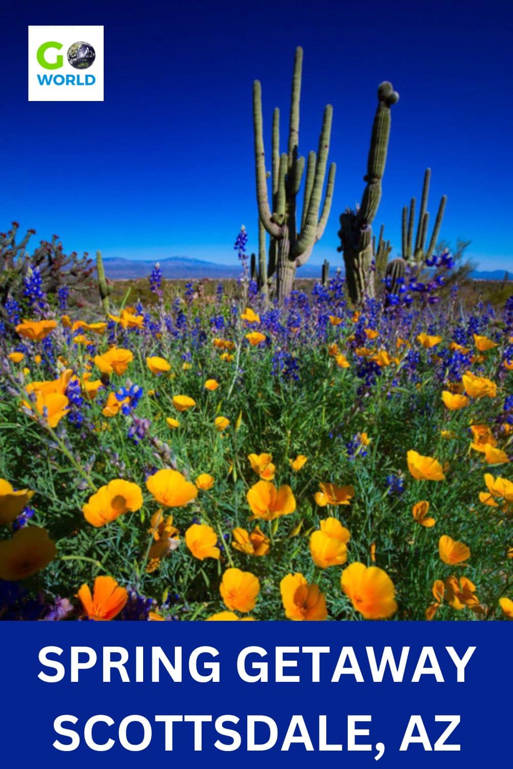 Arizona is a top spot for a US spring getaway and there are lots of things to do in Scottsdale including watching baseball's spring training. #Arizona #scottsdaleaz