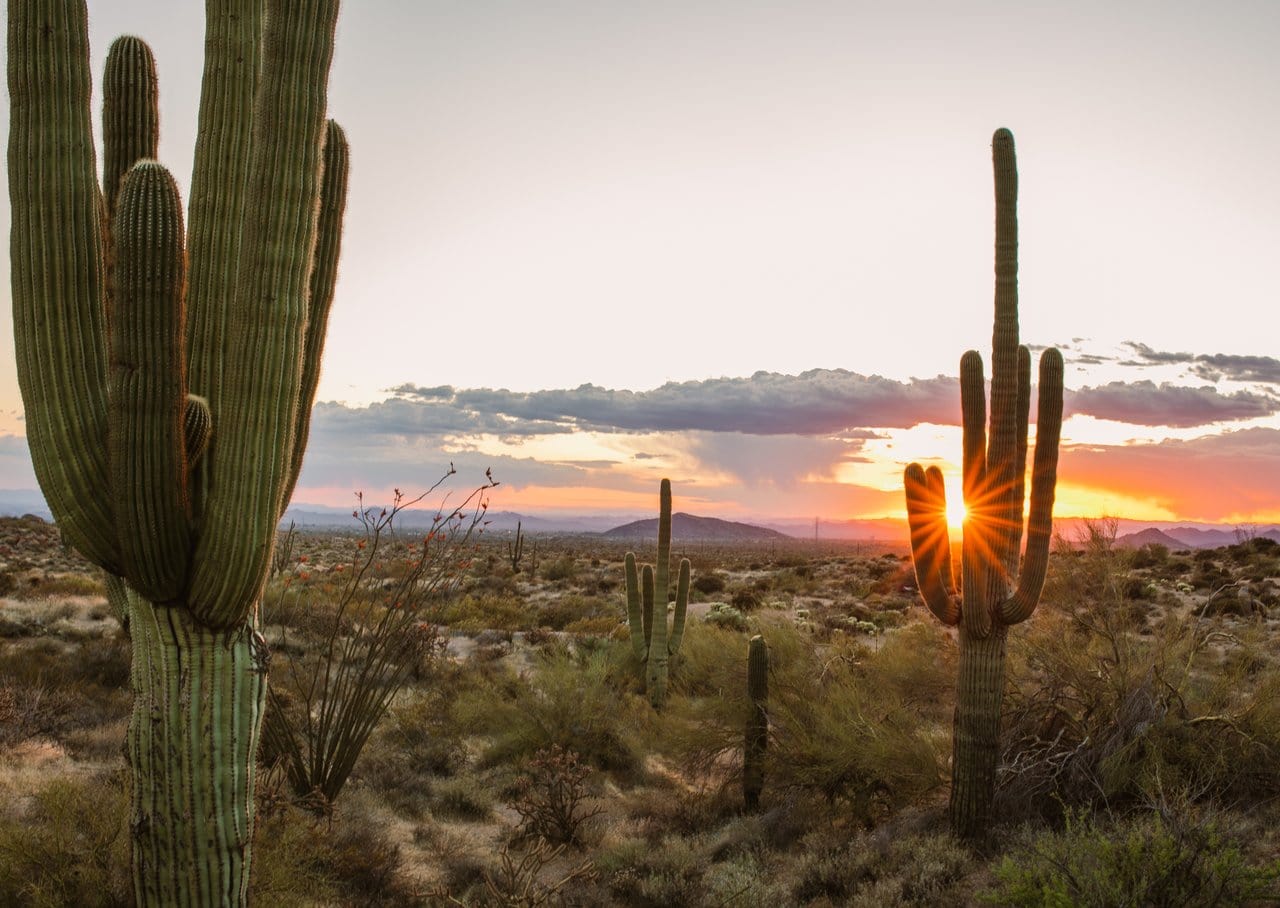 Sonoran Desert sunset at Brown's Ranch in Scottsdale's McDowell Sonoran Preserve. 