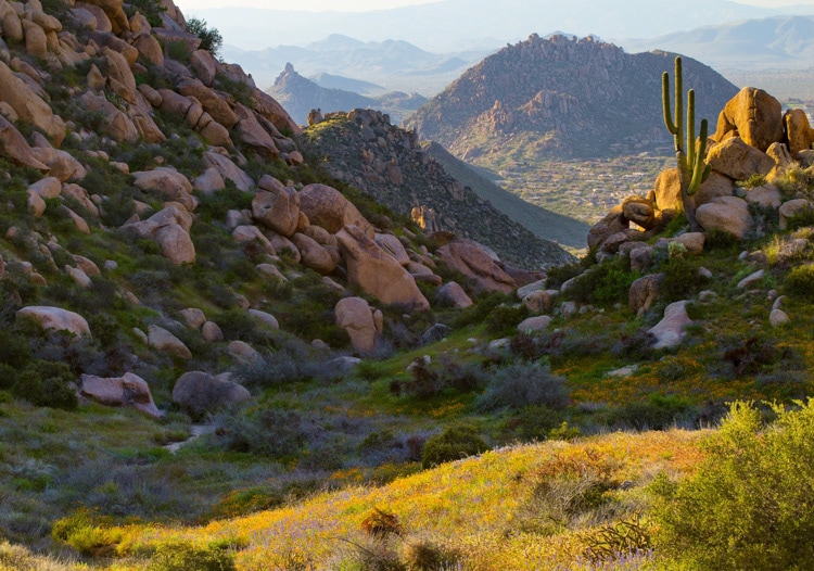 Panoramic view from the Tom's Thumb Trail in Scottsdale's McDowell Sonoran Preserve. 