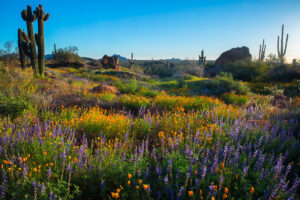 A Spring Getaway to Scottsdale, Arizona