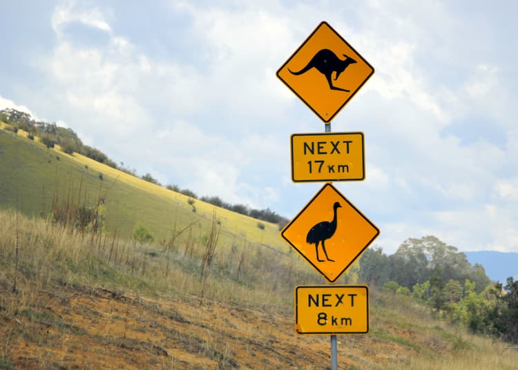 Wildlife signs on the trail. Photo by Ayan Adak