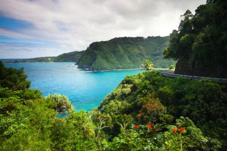 Stunning scenery on the Road to Hana, Maui.