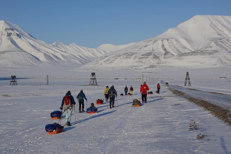 Svalbard Pulling sleds