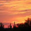 From Flamboyant Sunsets to Foodie Faves: The Best of Scottsdale