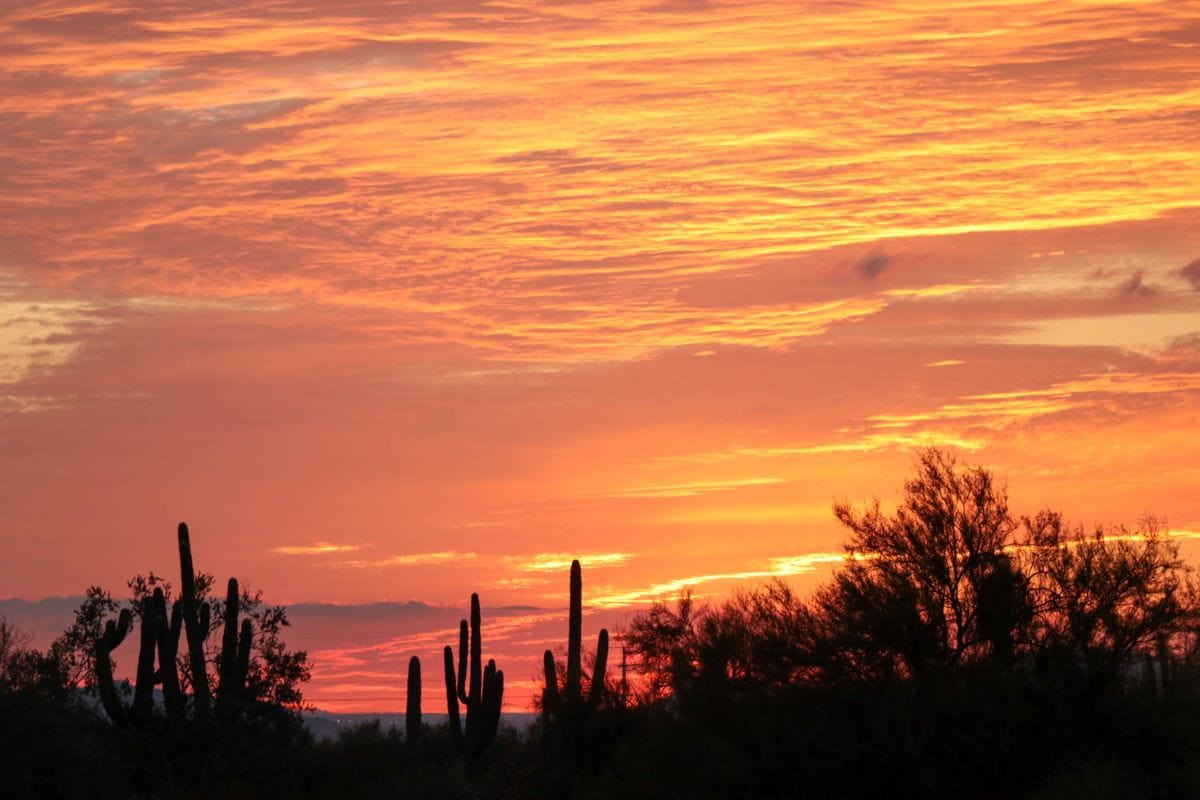 From Flamboyant Sunsets to Foodie Faves: The Best of Scottsdale