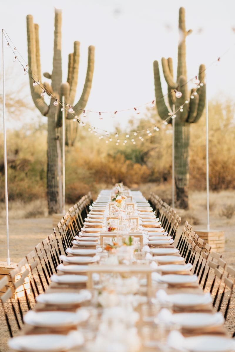 Terbaik dari Scottsdale.  Makan malam di padang pasir dengan set meja dan kaktus di latar belakang