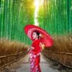 Walking through the bamboo forets in Kyoto is one of the top things to do in Japan. Image by tawatchaiprakobkit from Getty Images Pro via Canva