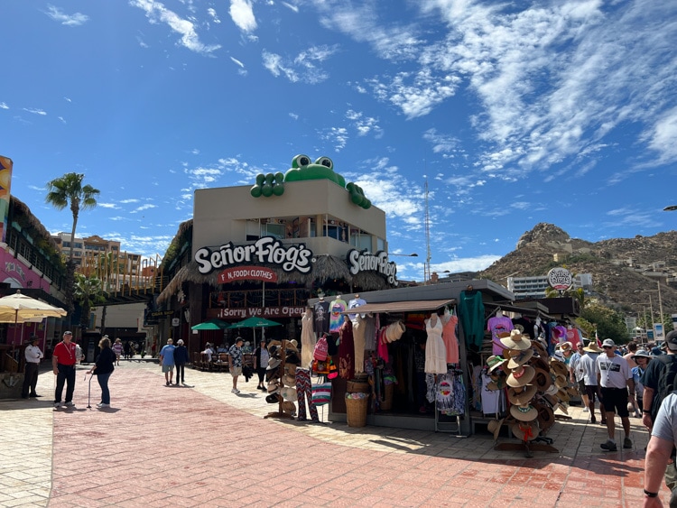 Is Mexico safe to visit? Cabo San Lucas’s popular marina, where cruise guests arrive by tender