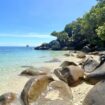 Nudey Beach at FItzroy Island. Photo by Ayan Adak