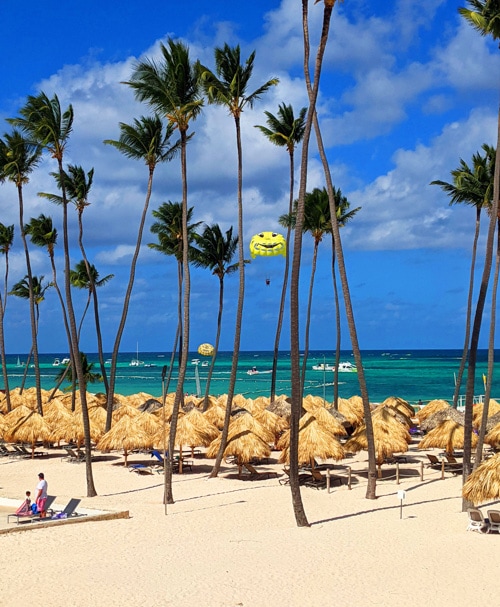 Palapas (thatched cabanas) covered the beach.