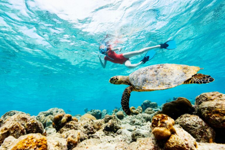 Ultimate Guide to the best snorkeling spots in Hawaii. Image by blueorangestudio via Canva