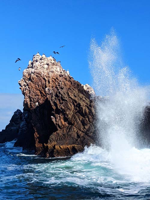 Hollowed out pockets of rock on Islas Marietas exposed to the Pacific form blowholes, sending a geyser of water into the air.