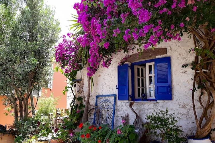 Flowers in Corfu, Greece. Photo by Bert Bohemian, Unsplash