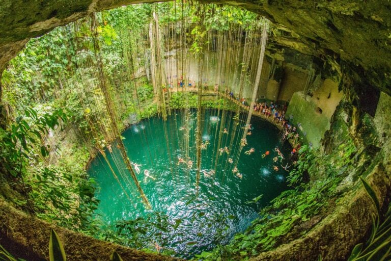 Inside a Yucatan cenote—one of thousands of underground swimming holes hidden beneath the jungle. Photo by Alex Blackbird from Getty Images via Canva