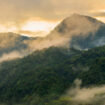 Mindo Cloud Forest, Ecuador. Photo by SL_Photography from Getty Images via Canva