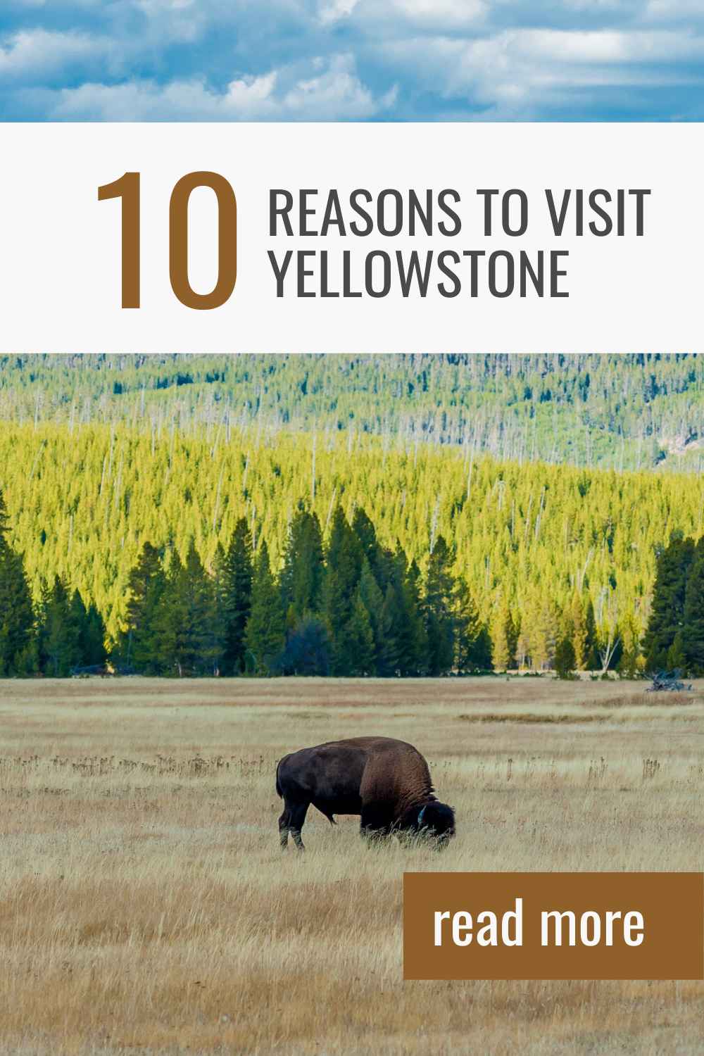 Why Now is the Best Time to Visit Yellowstone National Park