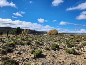 Sutherland, South Africa: A Getaway to the Karoo at Rogge Cloof